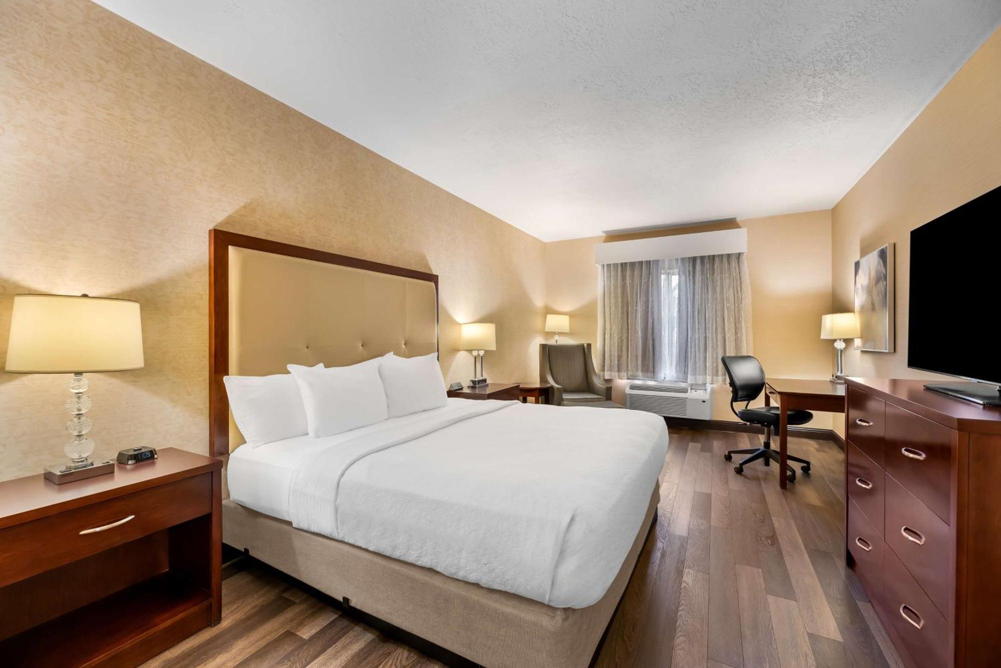 King Room Pet Friendly or First Floor,1615654233:JPEG