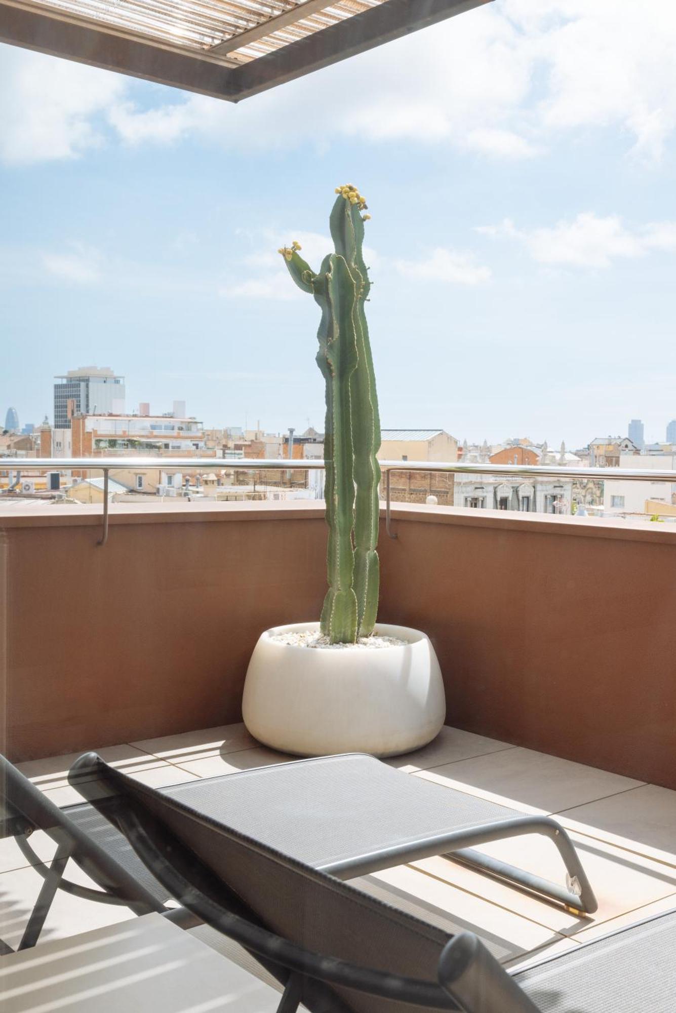 Quarto Duplo Privilégio com Terraço