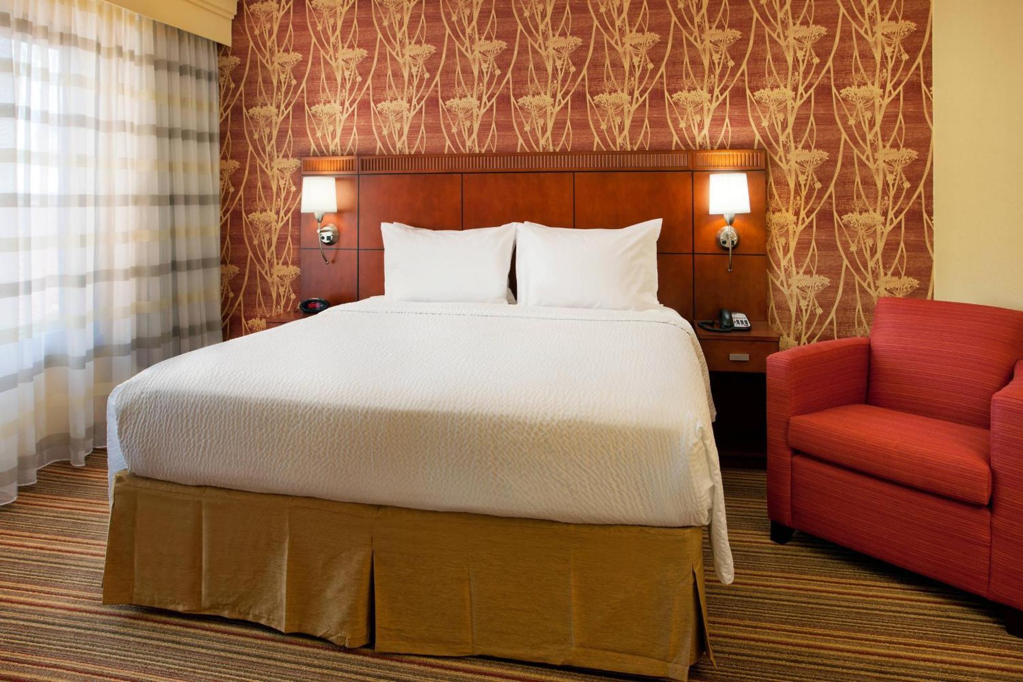 Suite, 1 King, Sofa bed