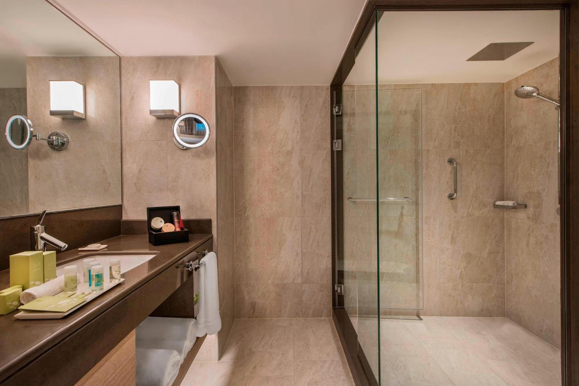Suite King Familiare con Vista Parco e Accesso Lounge