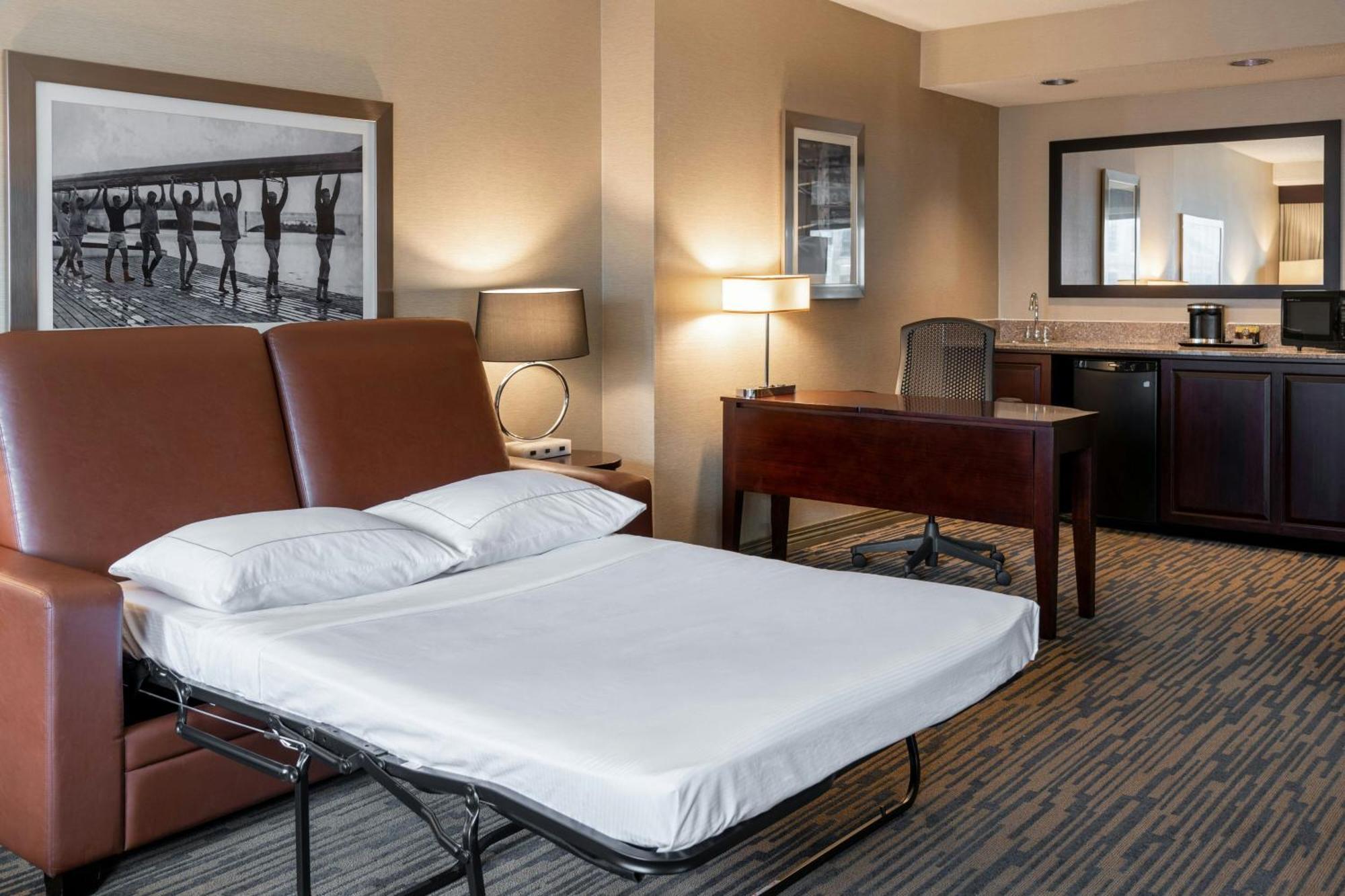 Standard King Suite with City View