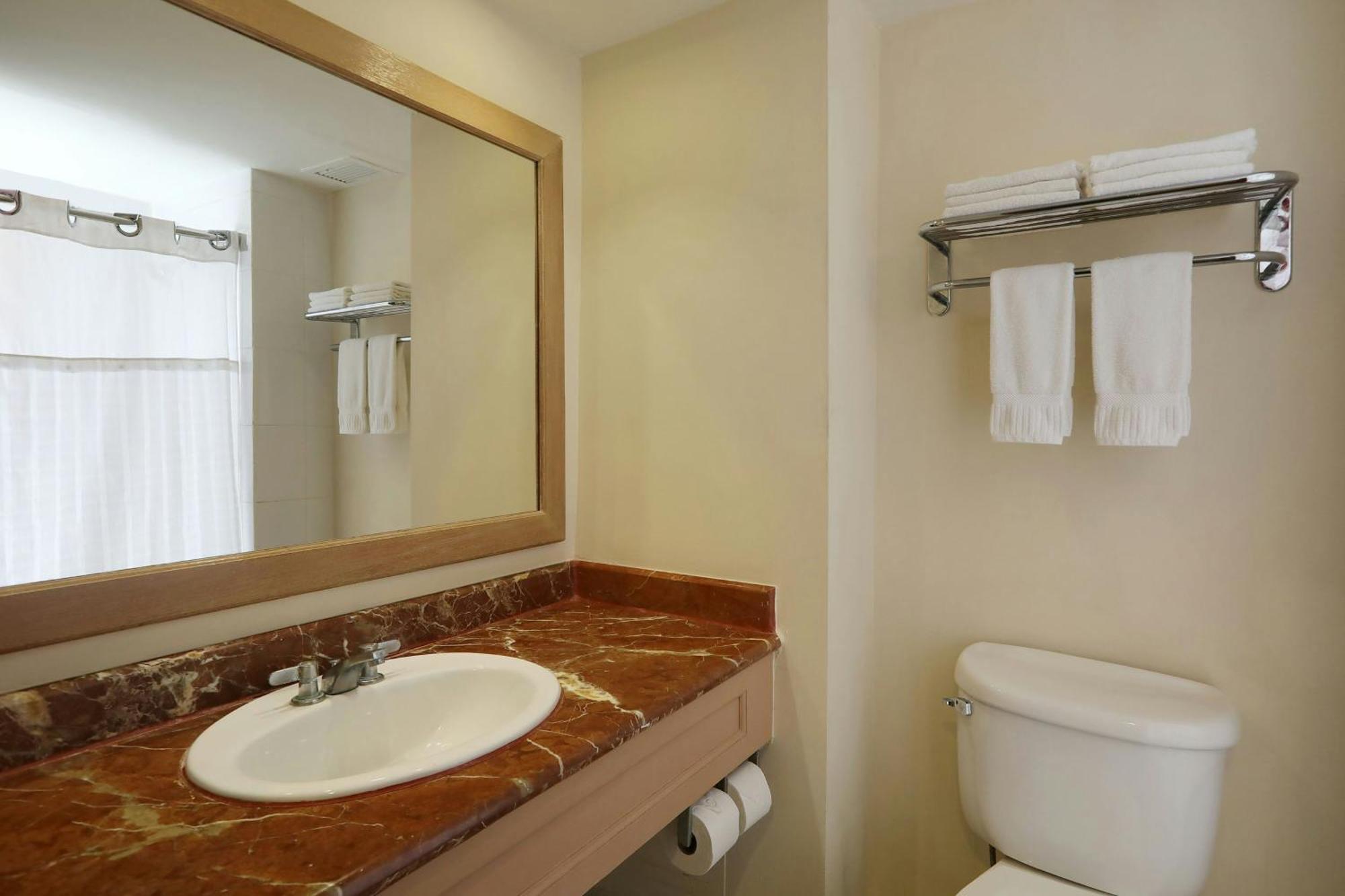 Habitación Estándar - Cama extragrande