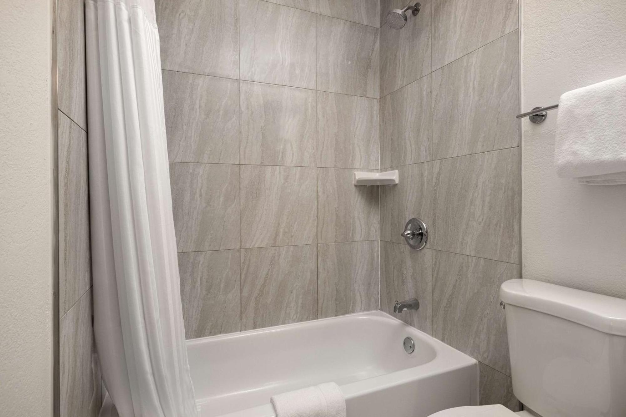 King Studio Suite