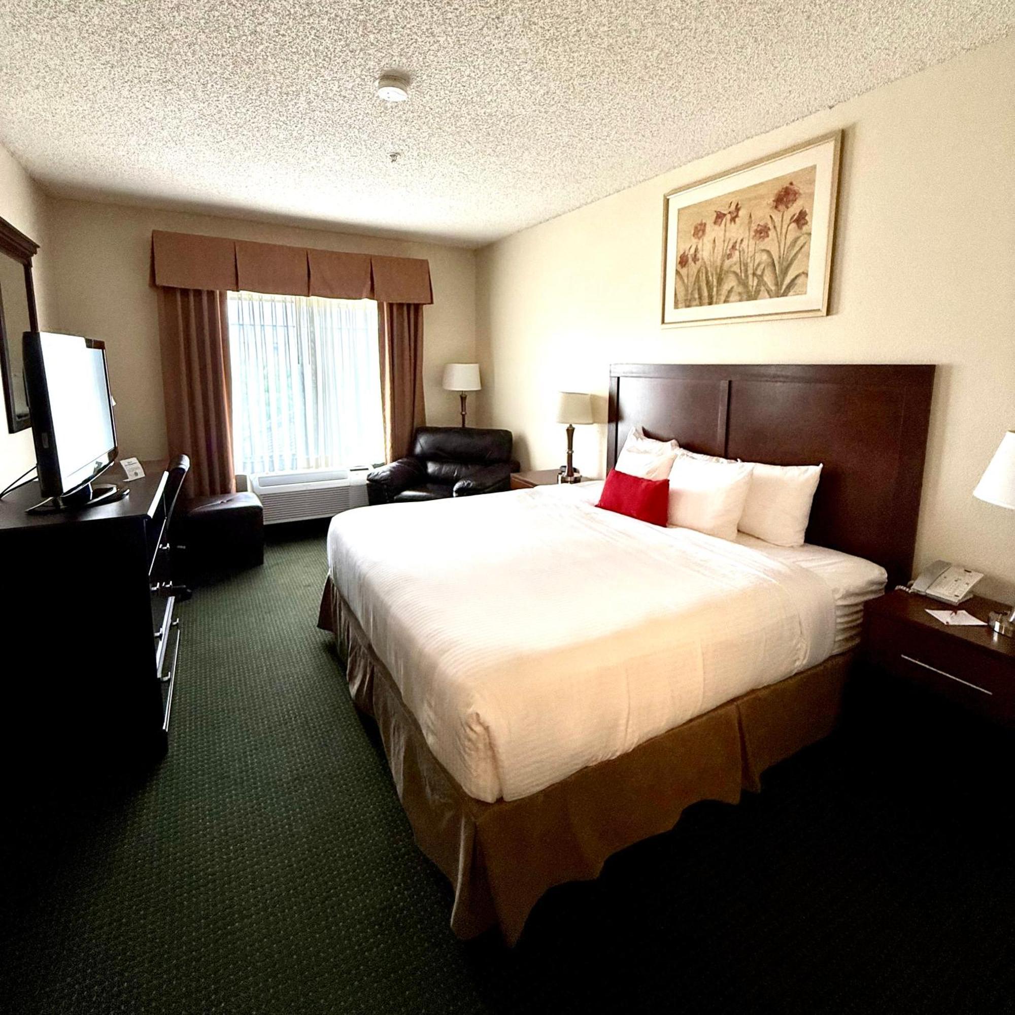 Deluxe King Suite - Non-Smoking