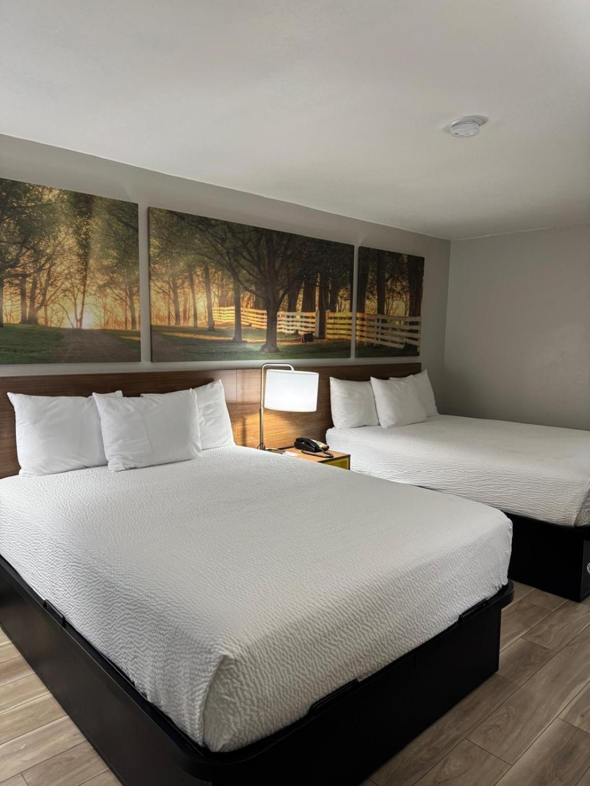 Queen Room with Two Queen Beds - Non-Smoking
