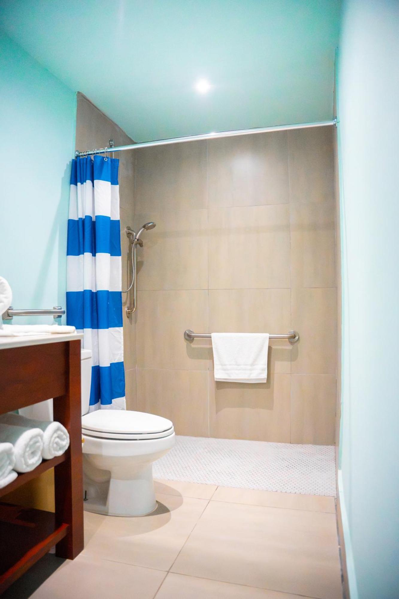 King Room with Roll-In Shower - Disability Access