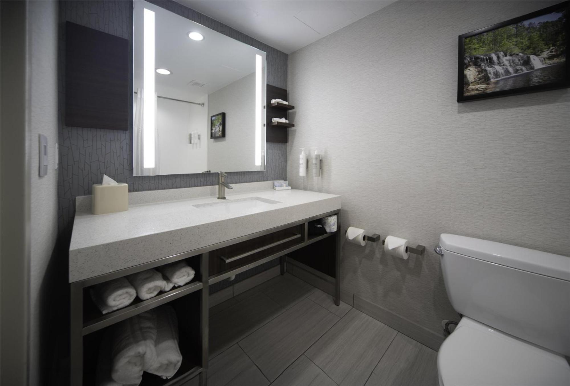 One-Bedroom King Suite with Sofa Bed