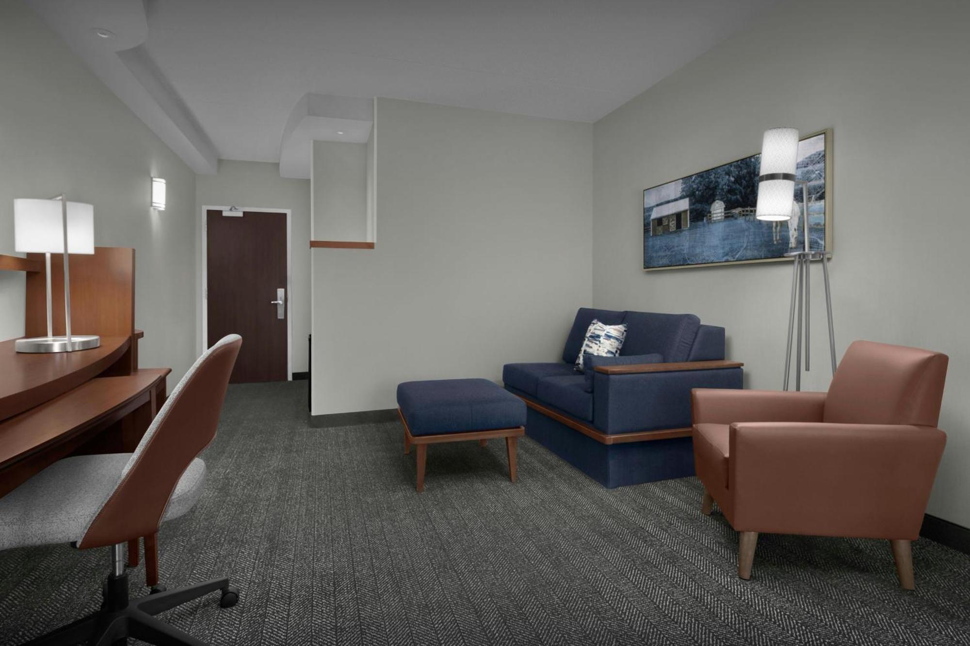 King Room with Sofa Bed