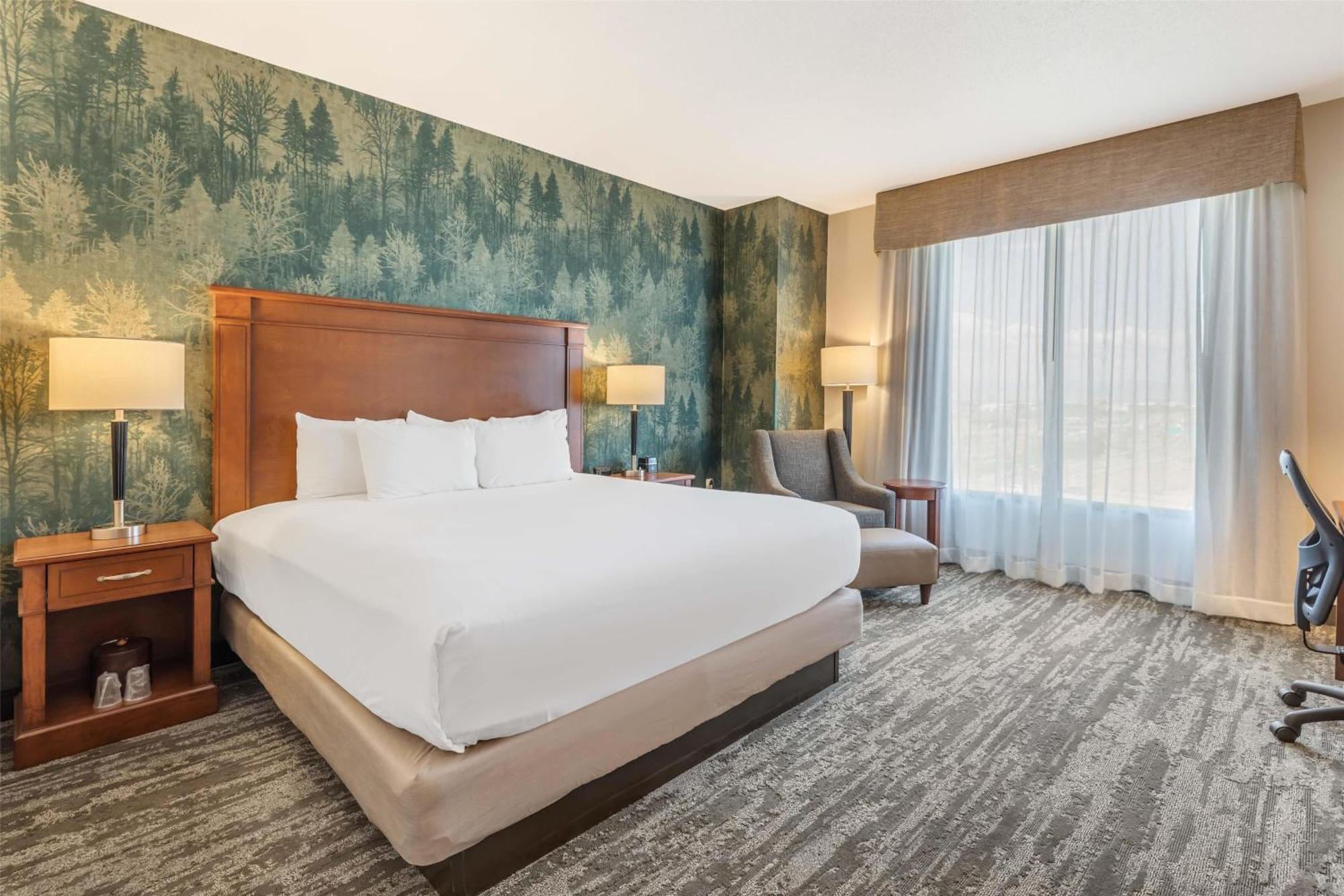 Deluxe King Room,1699018352:JPEG