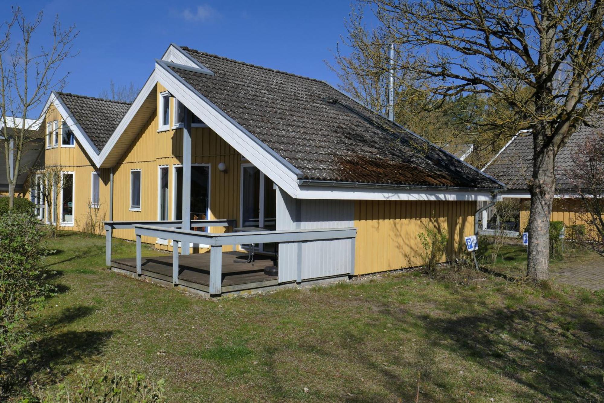 Wildgans mit offener Galerie,1717081685:JPEG