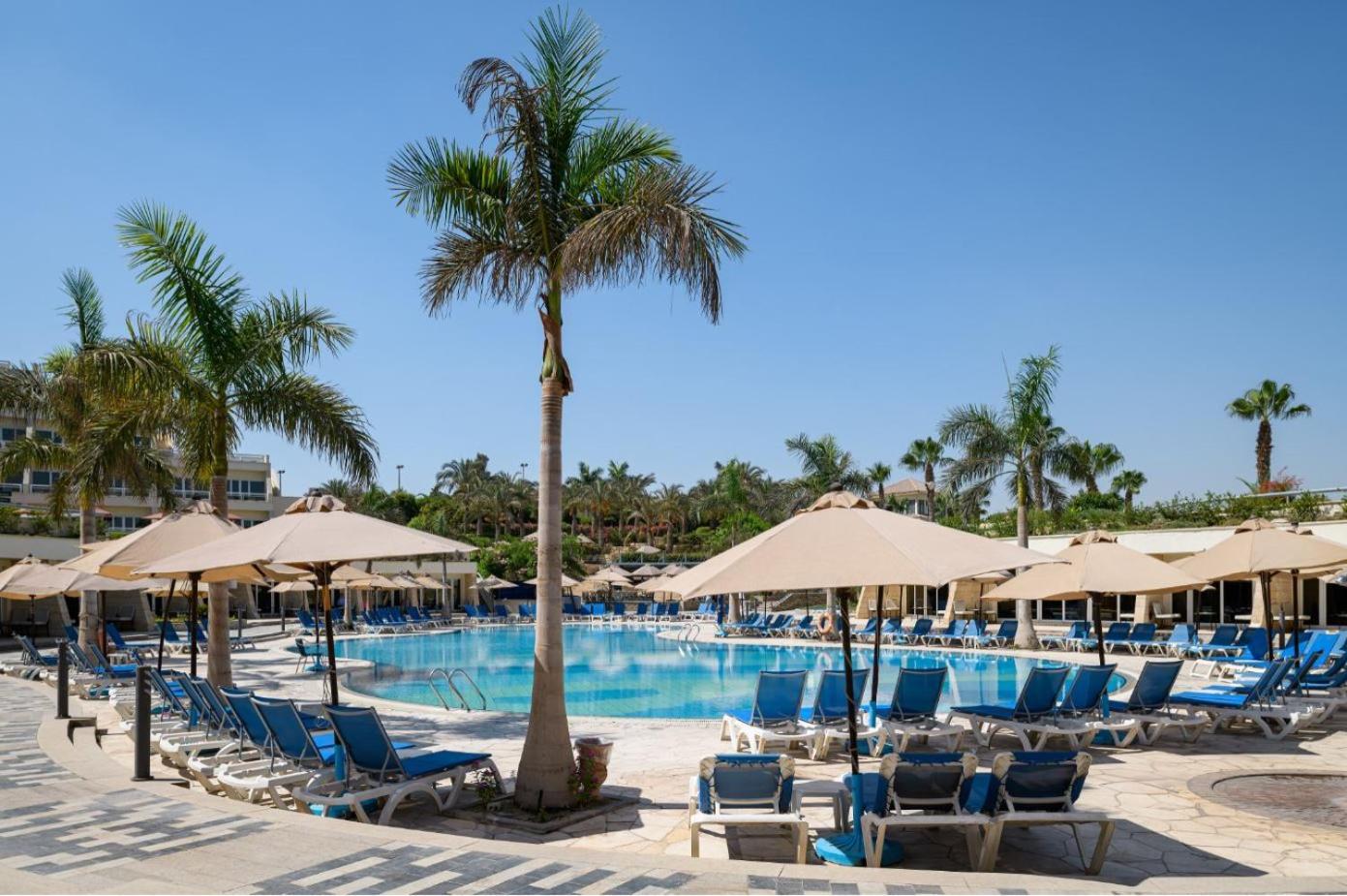 Chambre 1 Lit King-Size Deluxe avec Accès à la Piscine - Côté Piscine