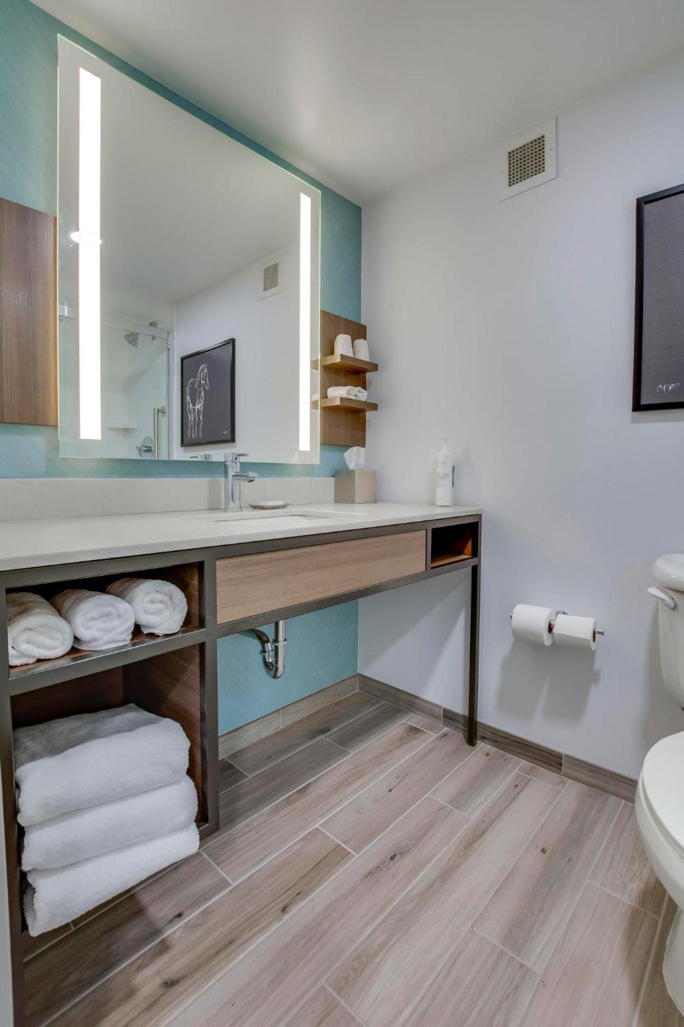 One-Bedroom King Suite with Sofa Bed