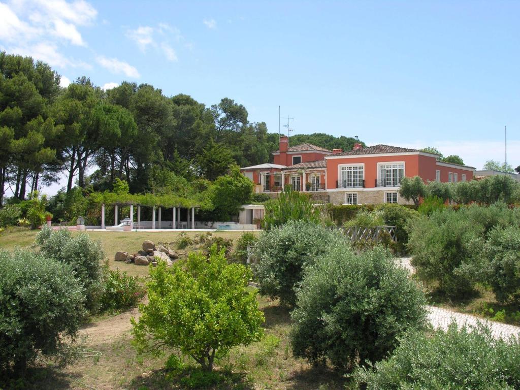 Suite Dúplex