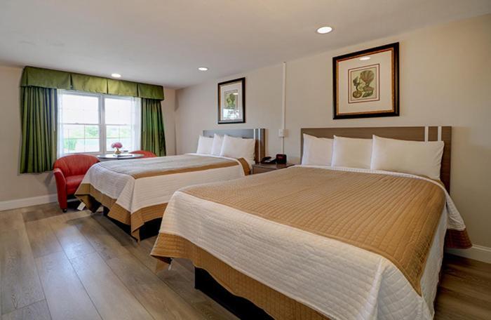 Deluxe Double Room with Two Double Beds