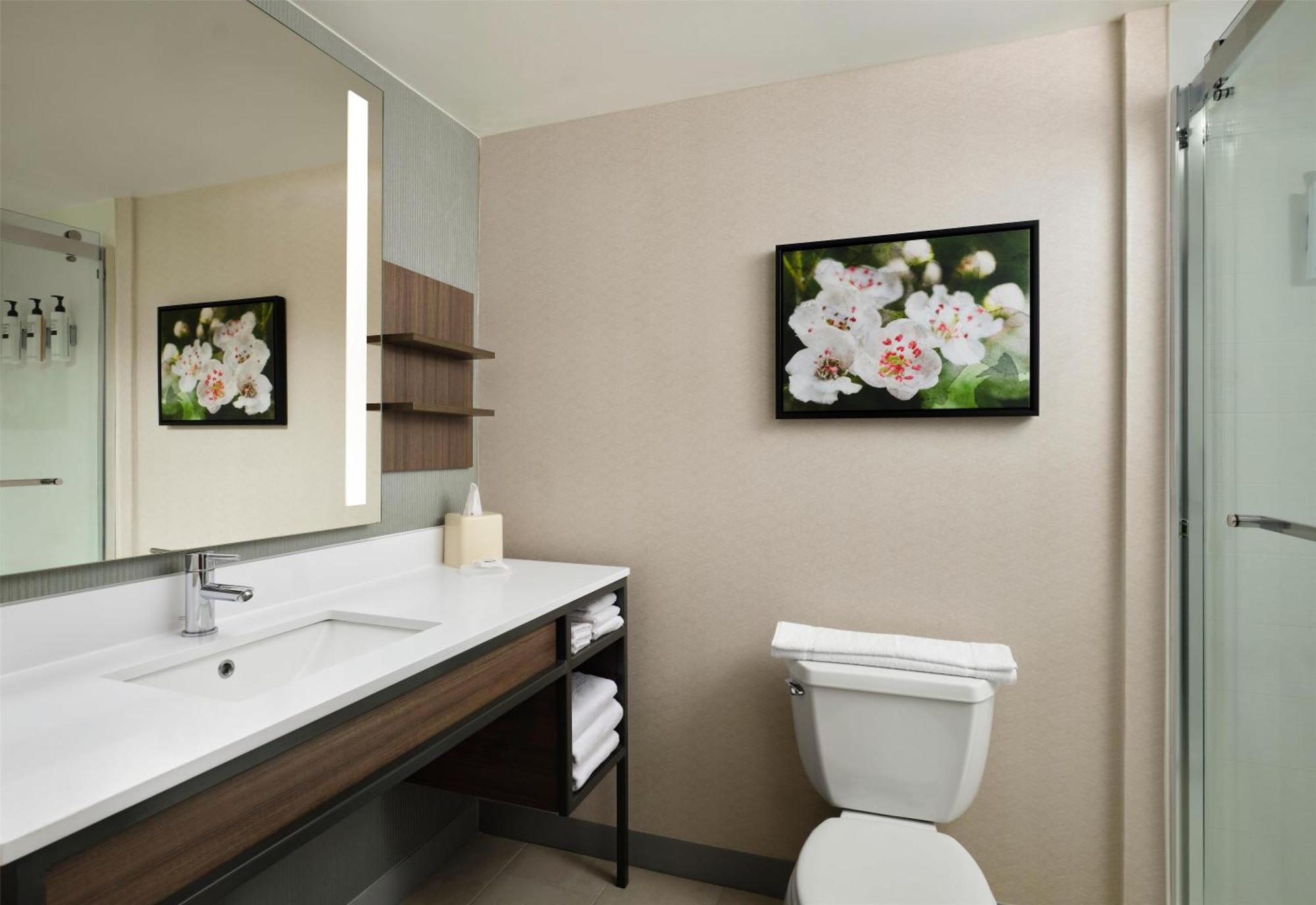 Junior King Suite with Sofa Bed