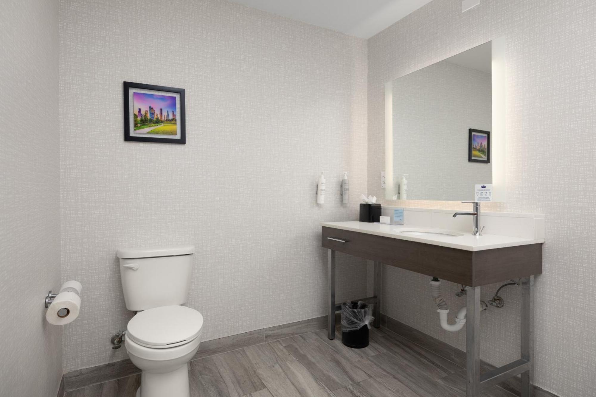 King Suite with Roll-In Shower - Mobility and Hearing Access/Non-Smoking