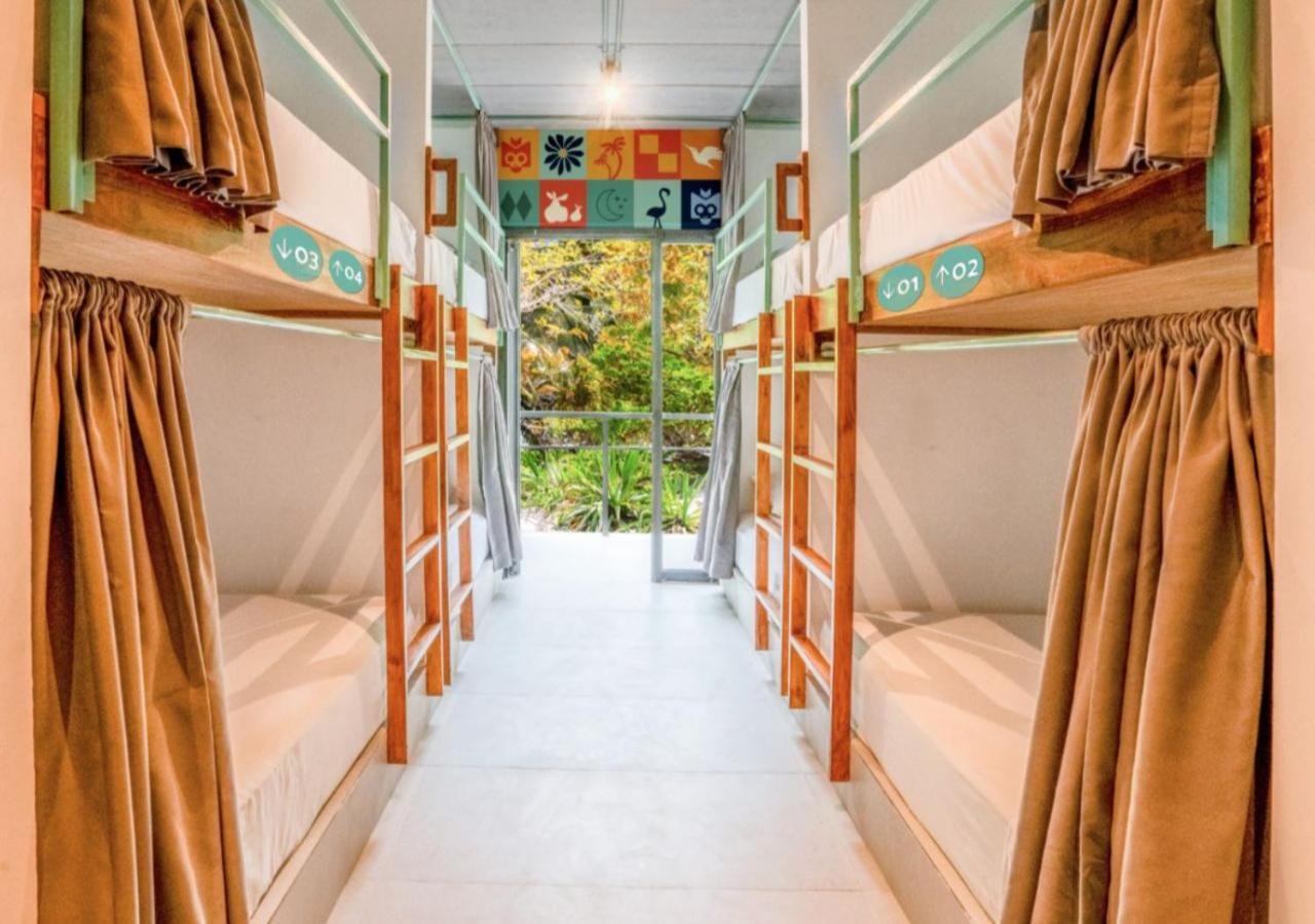 Bett im gemischten Schlafsaal mit 8 Betten