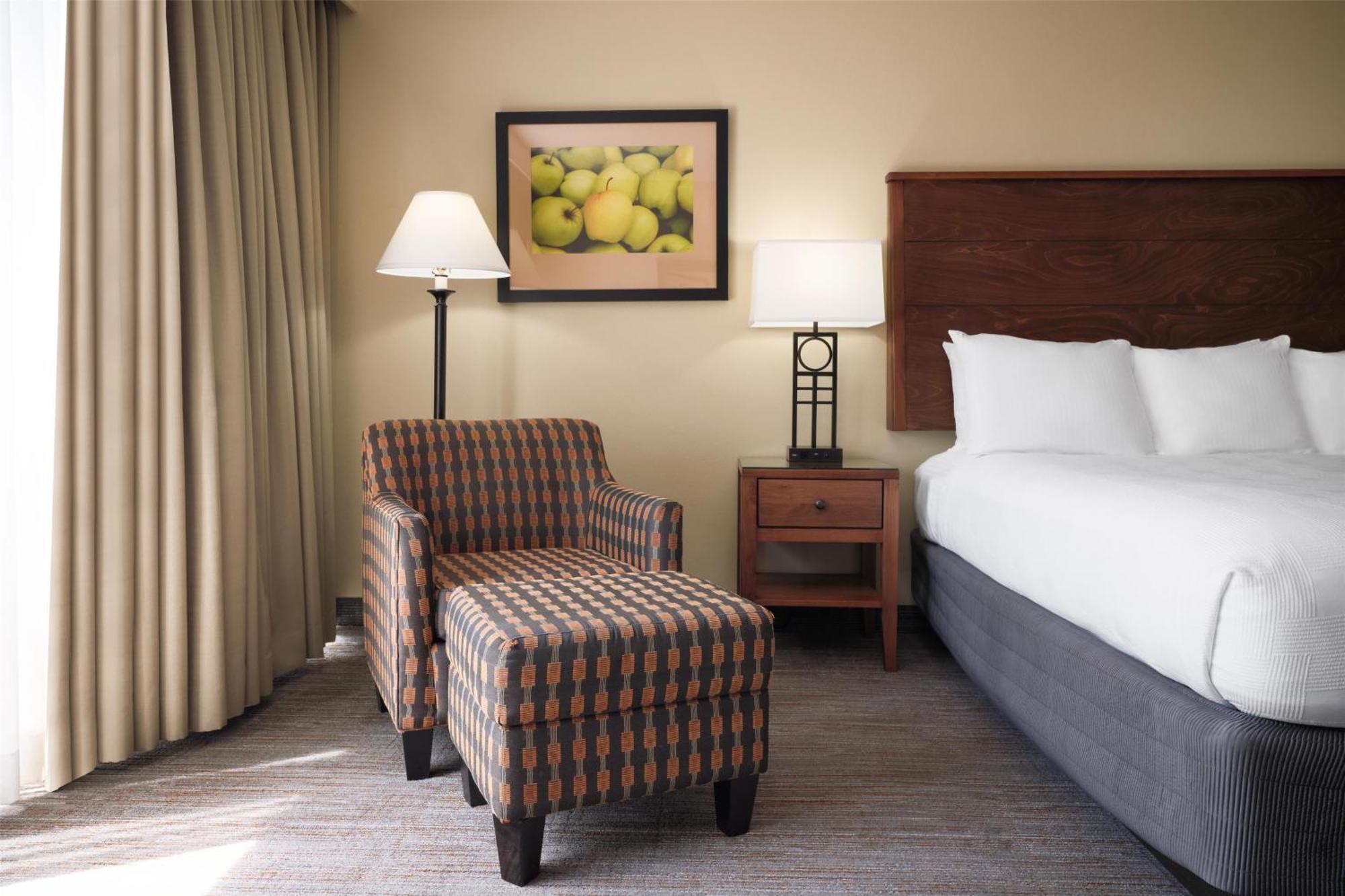 Standard King Room - Pet Friendly by Request
