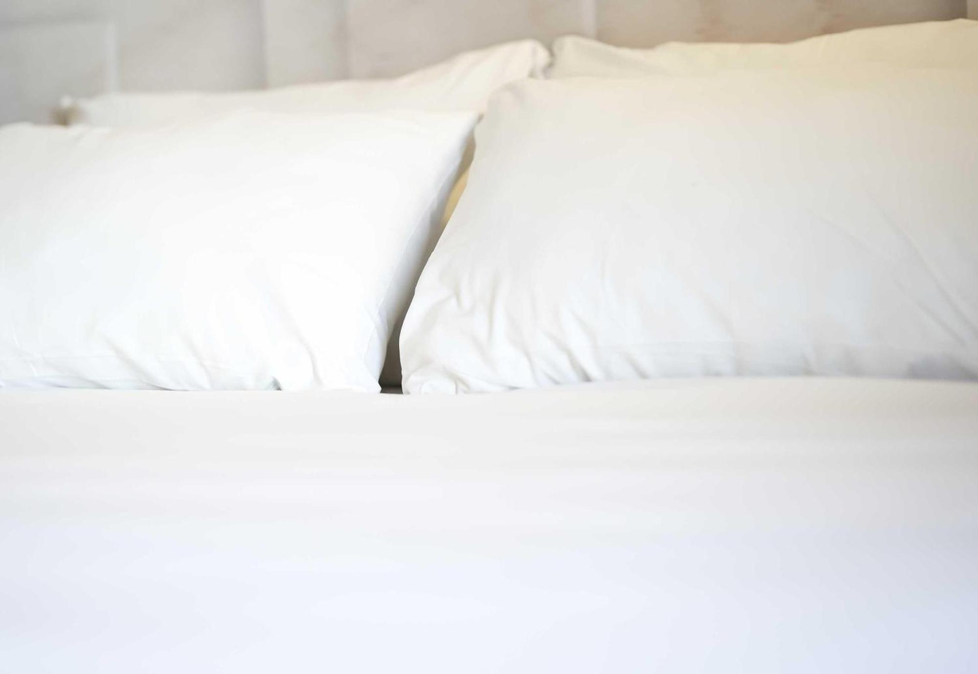 Standard Twin Room,1771884064:JPEG