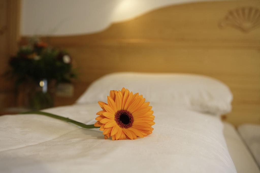 Doppelzimmer mit Balkon oder Terrasse
