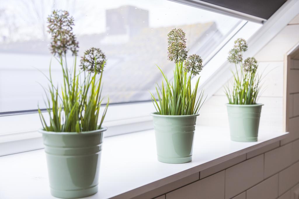 Familiekamer met Gedeelde Badkamer