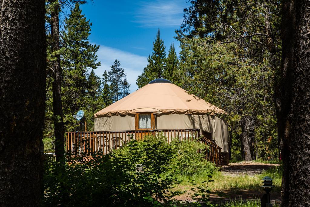 Studio Yurt