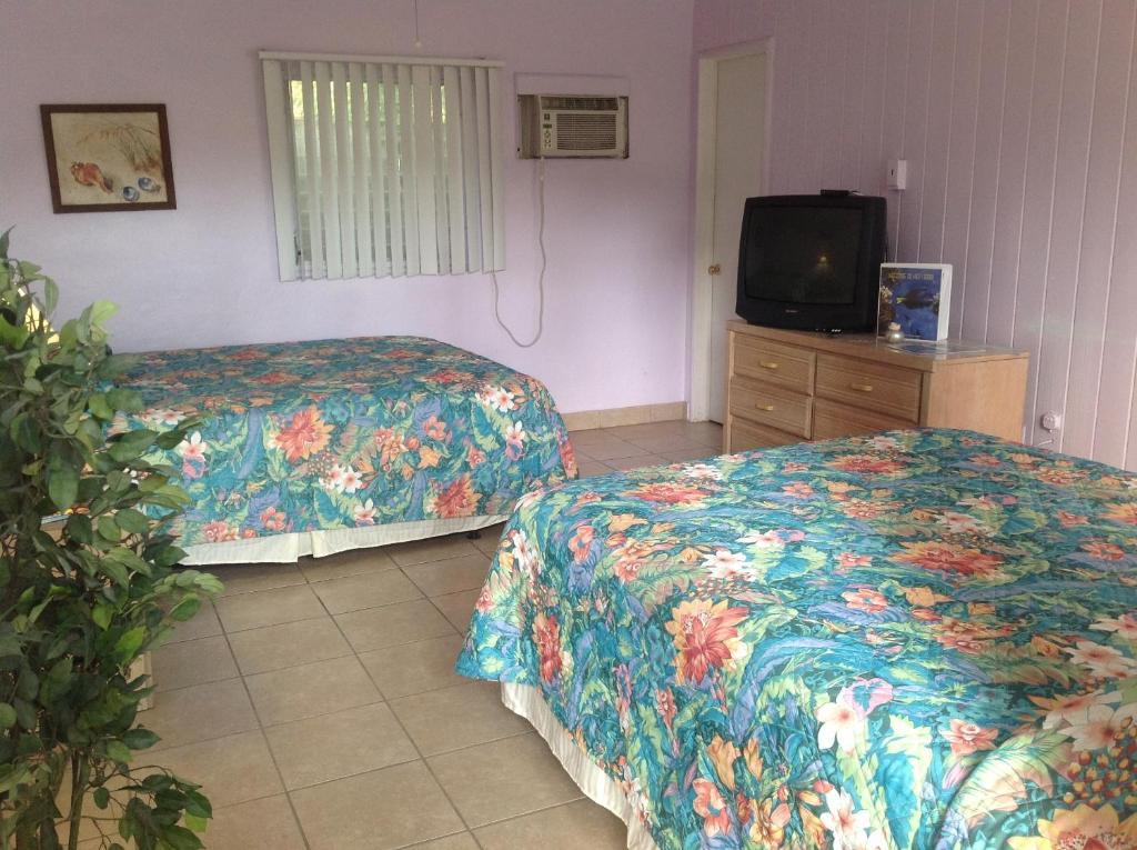 Zimmer mit 2 Queensize-Betten