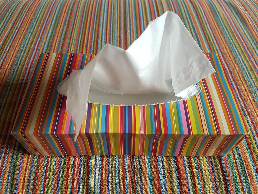 Superior Tweepersoonskamer met 2 Aparte Bedden