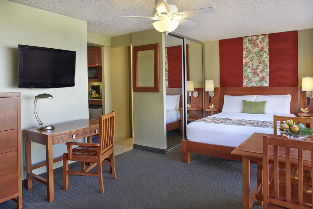 Studio Suite with One Queen Bed,1559400013:JPEG