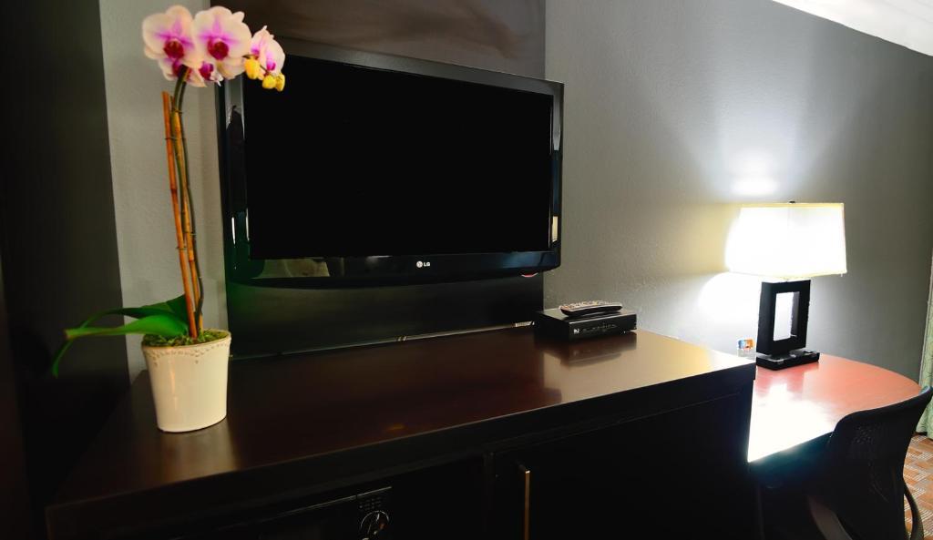 Suite with One King Bed and Two Double Beds - Non-Smoking
