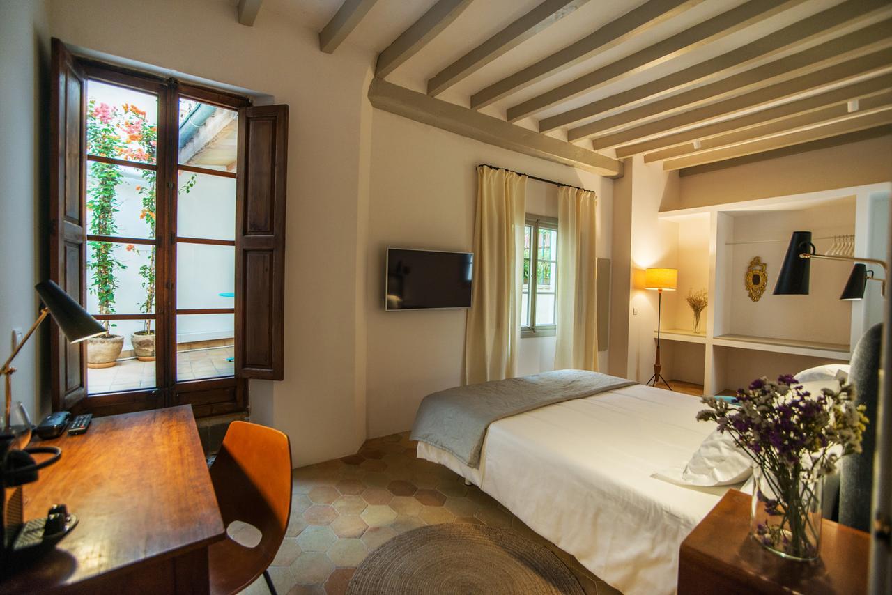 Suite Junior con patio