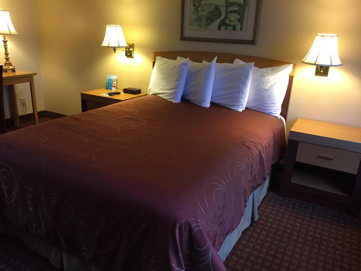 Queen Room - Harbour View