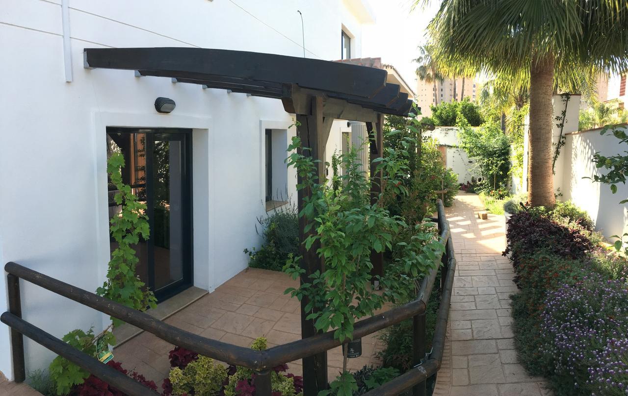 Double Room Terrace,655547796:JPEG