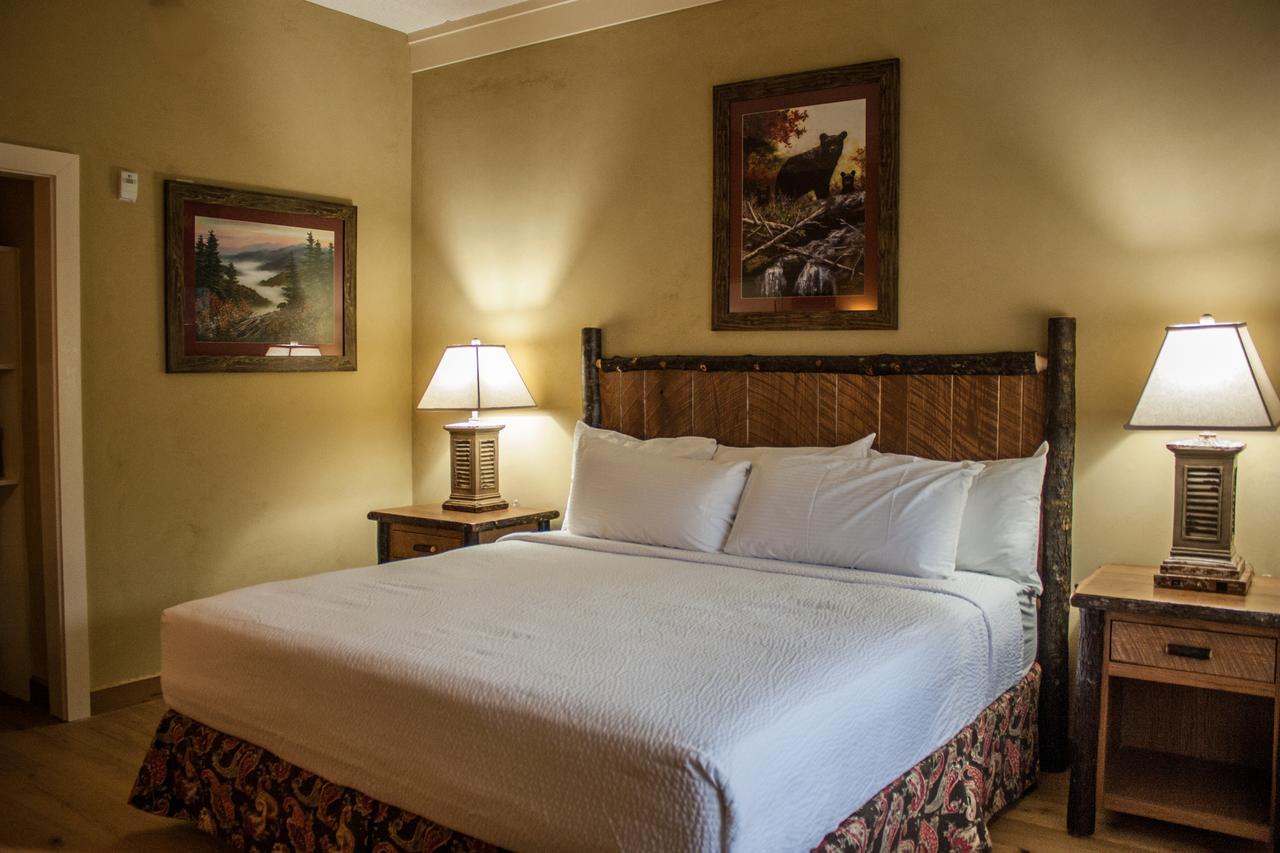 King Suite with Fireplace - Mountain View