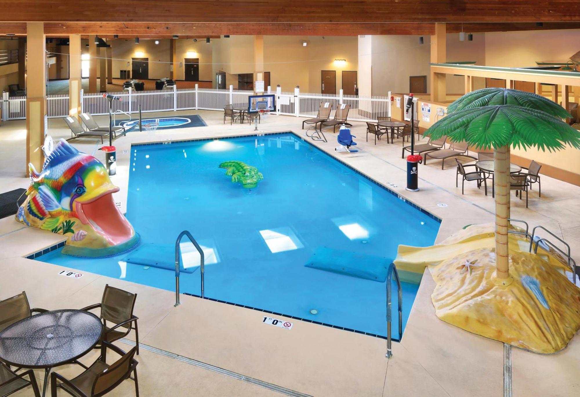 King Room - Disability Access - Pet Friendly