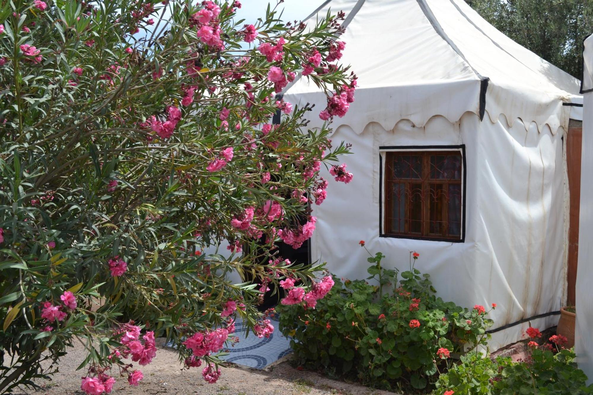 Superior Nomade Tent,893600170:JPEG