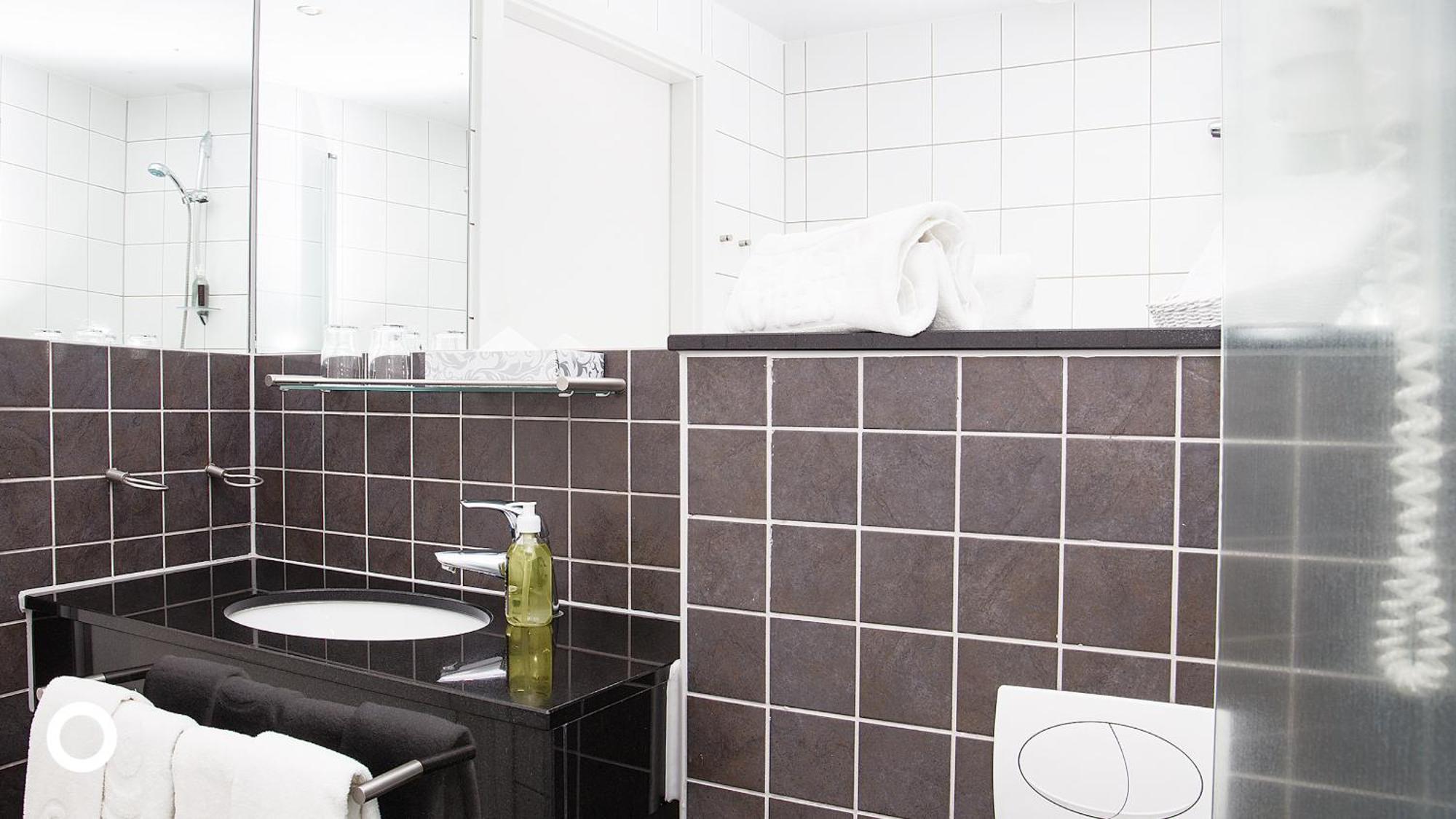 Standaard Tweepersoonskamer met 1 of 2 Bedden