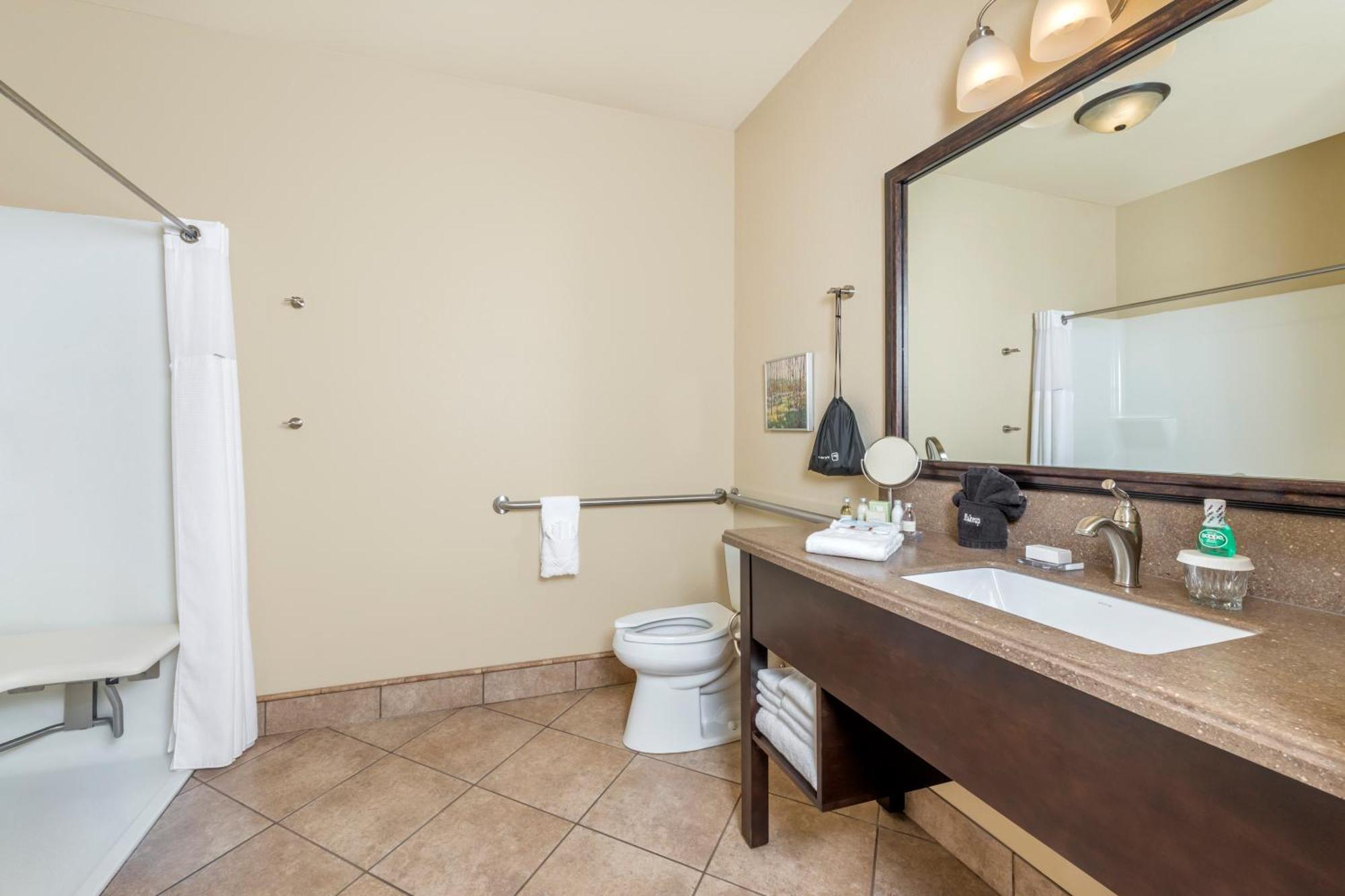 King Suite - Mobility Access/Non-Smoking