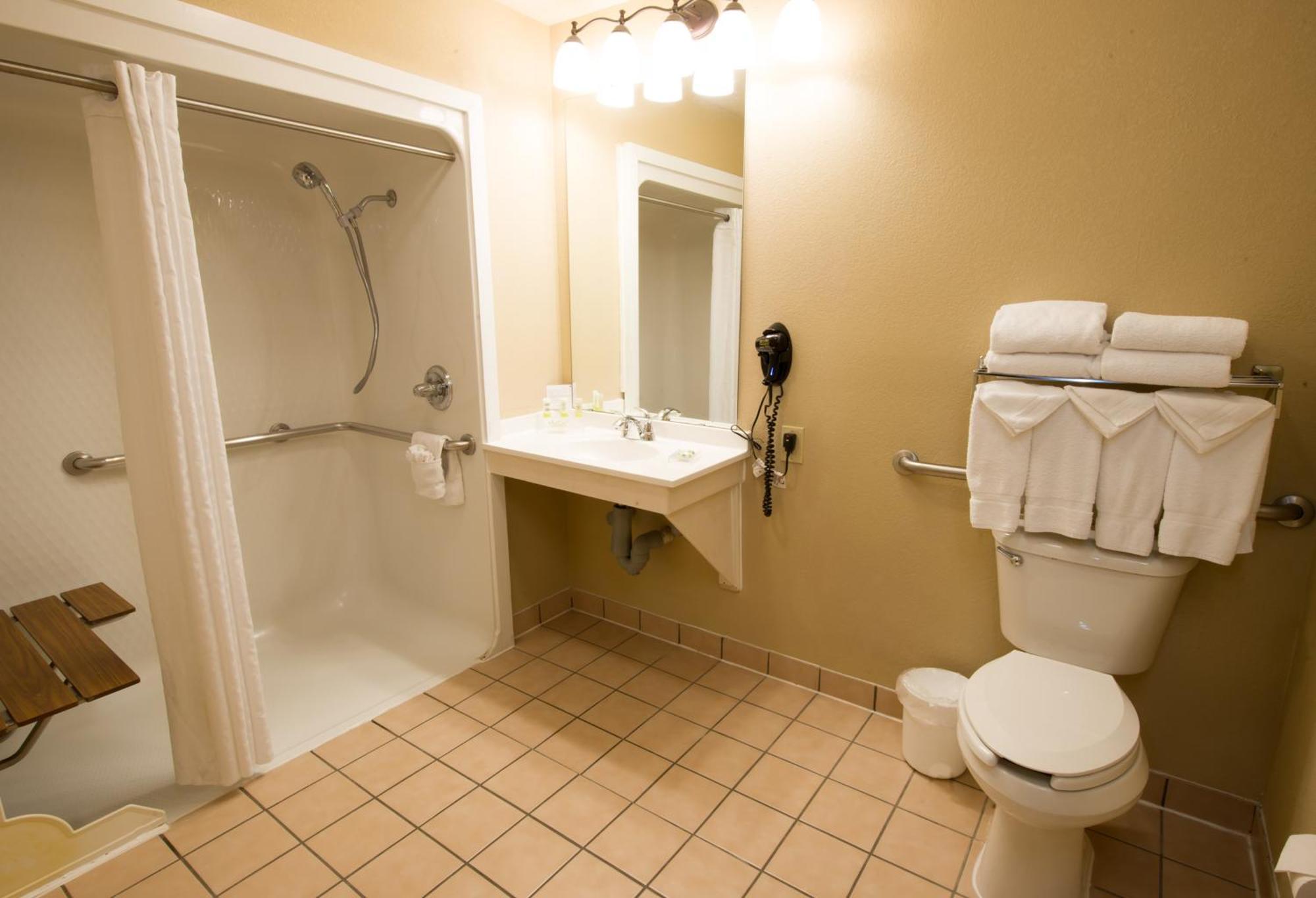 King Room with Roll-In Shower - Disability Access/Non Smoking