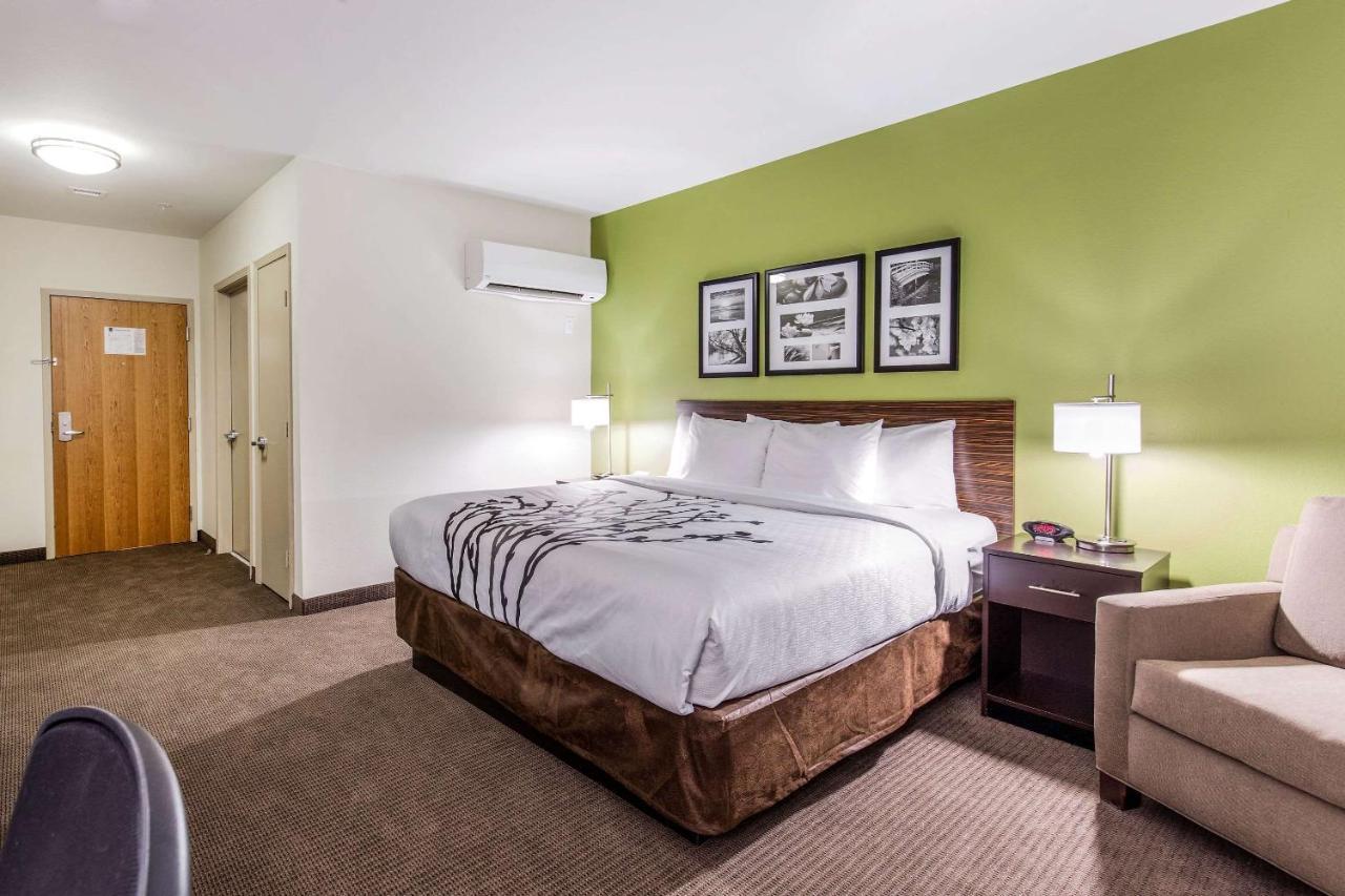 Quarto com Cama King-size e Chuveiro - Não Fumantes