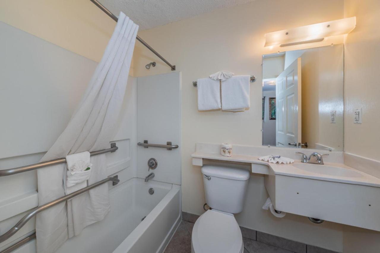 Upgraded Queen Non-Smoking, Kitchenette