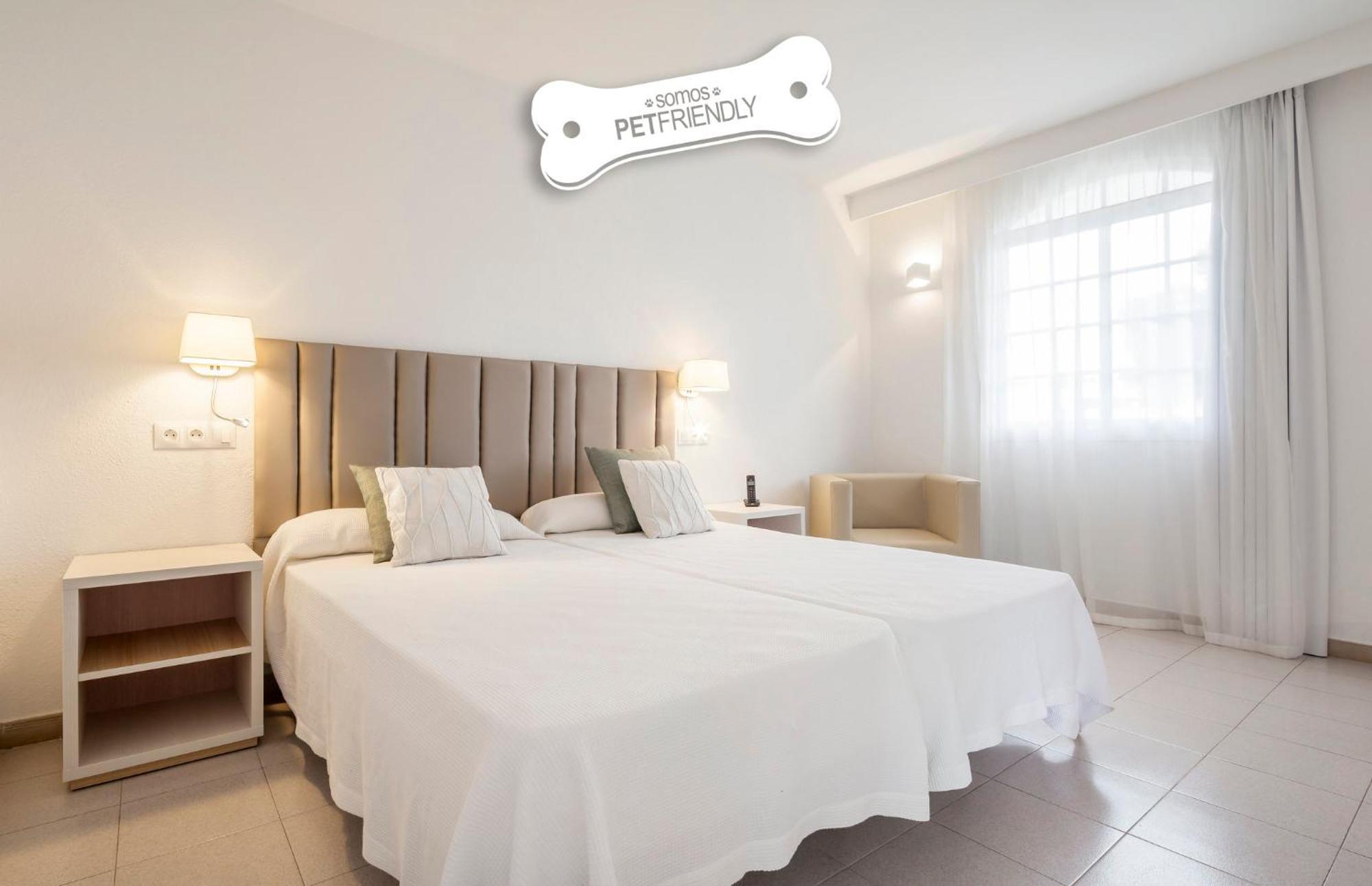 Appartement 1 Chambre - Animaux Domestiques Admis