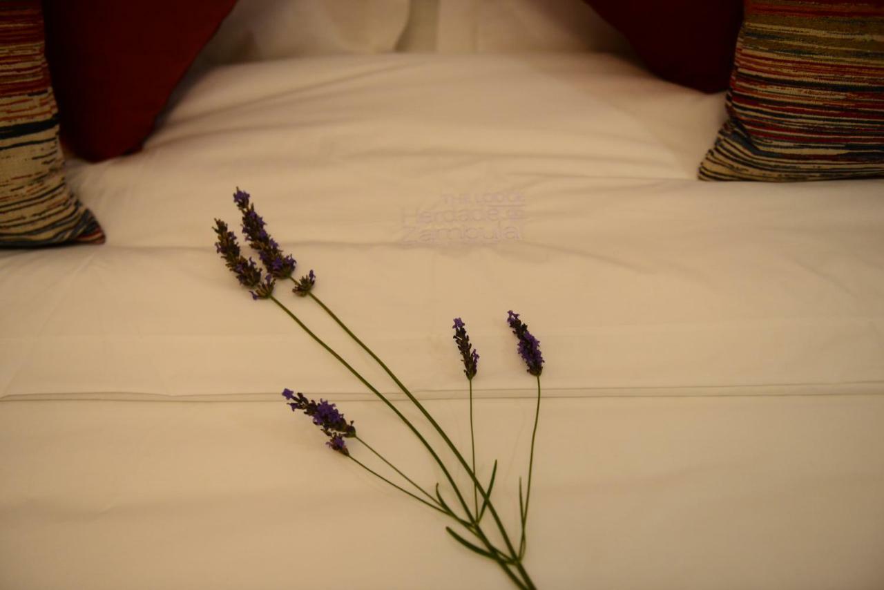 Suite with Terrace,843776828:JPEG