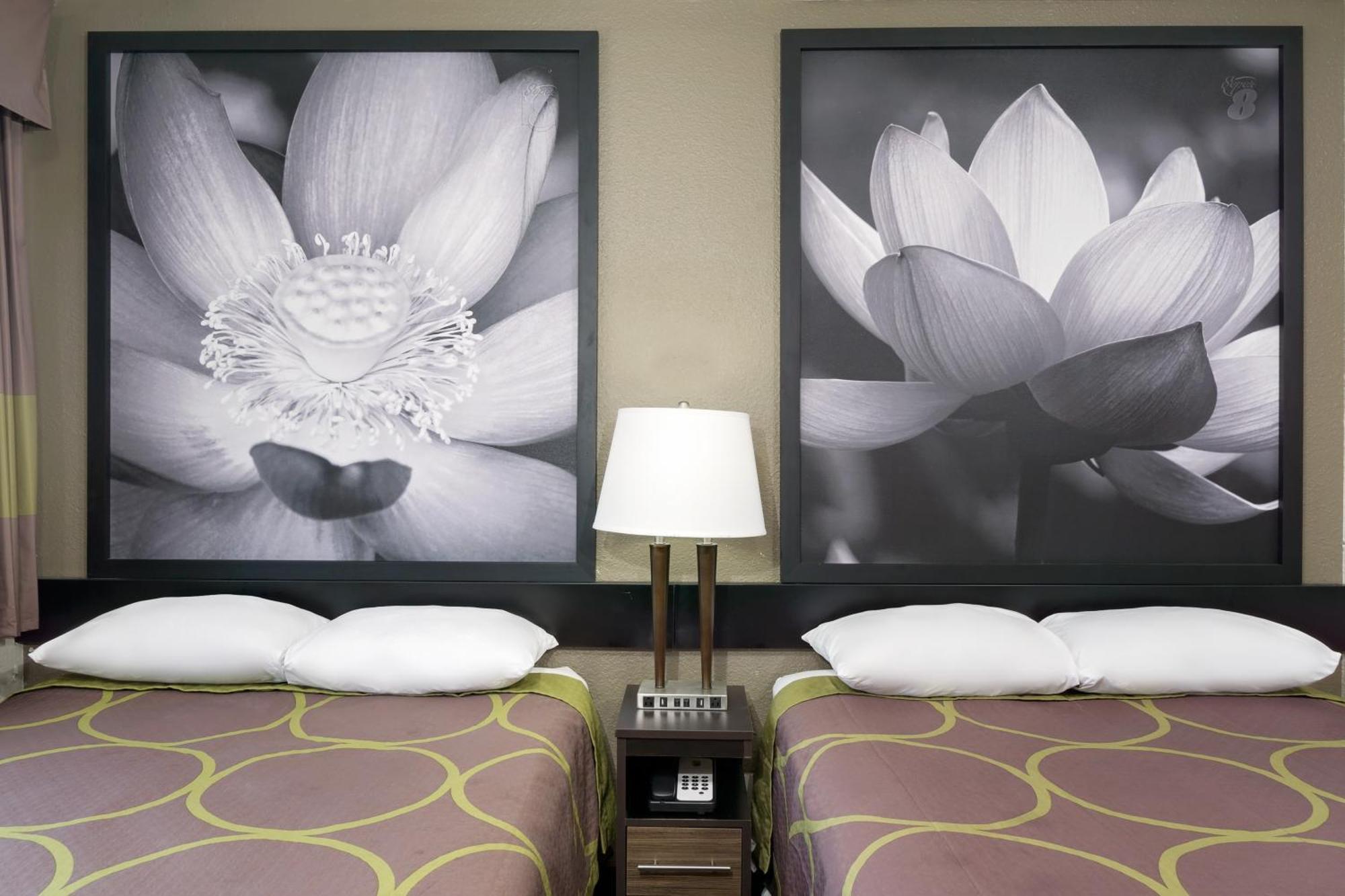 Double Room with Two Double Beds - Non-Smoking