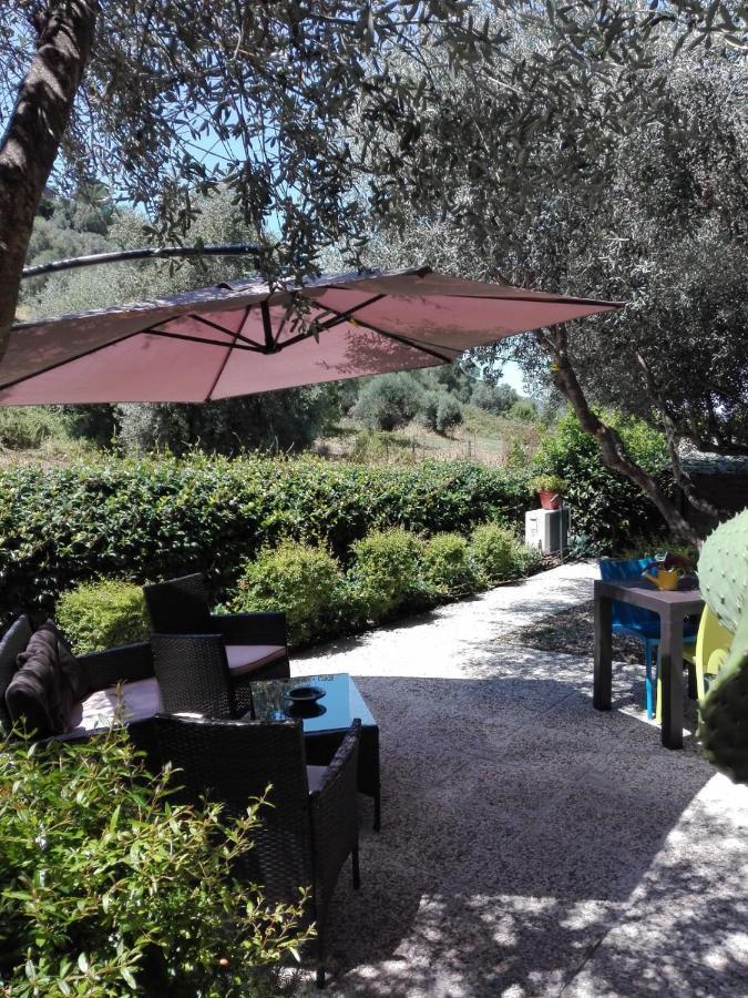 Appartamento Monolocale