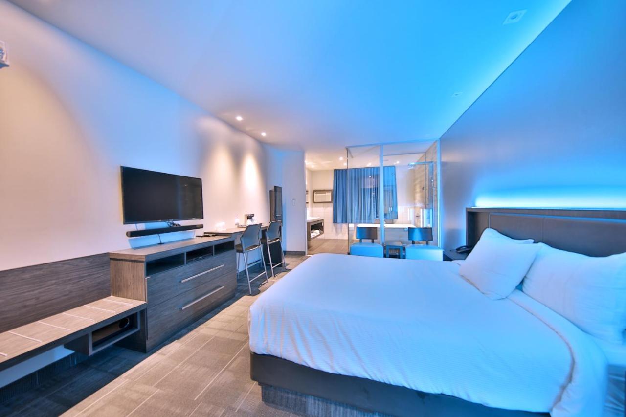 Suite, 1 Queen Bed