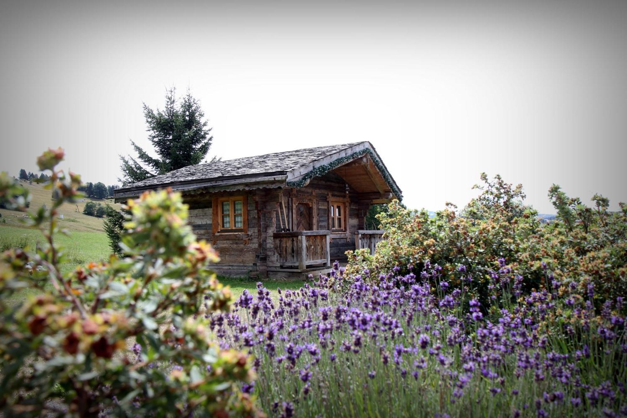 Chalet (2 Adultes)