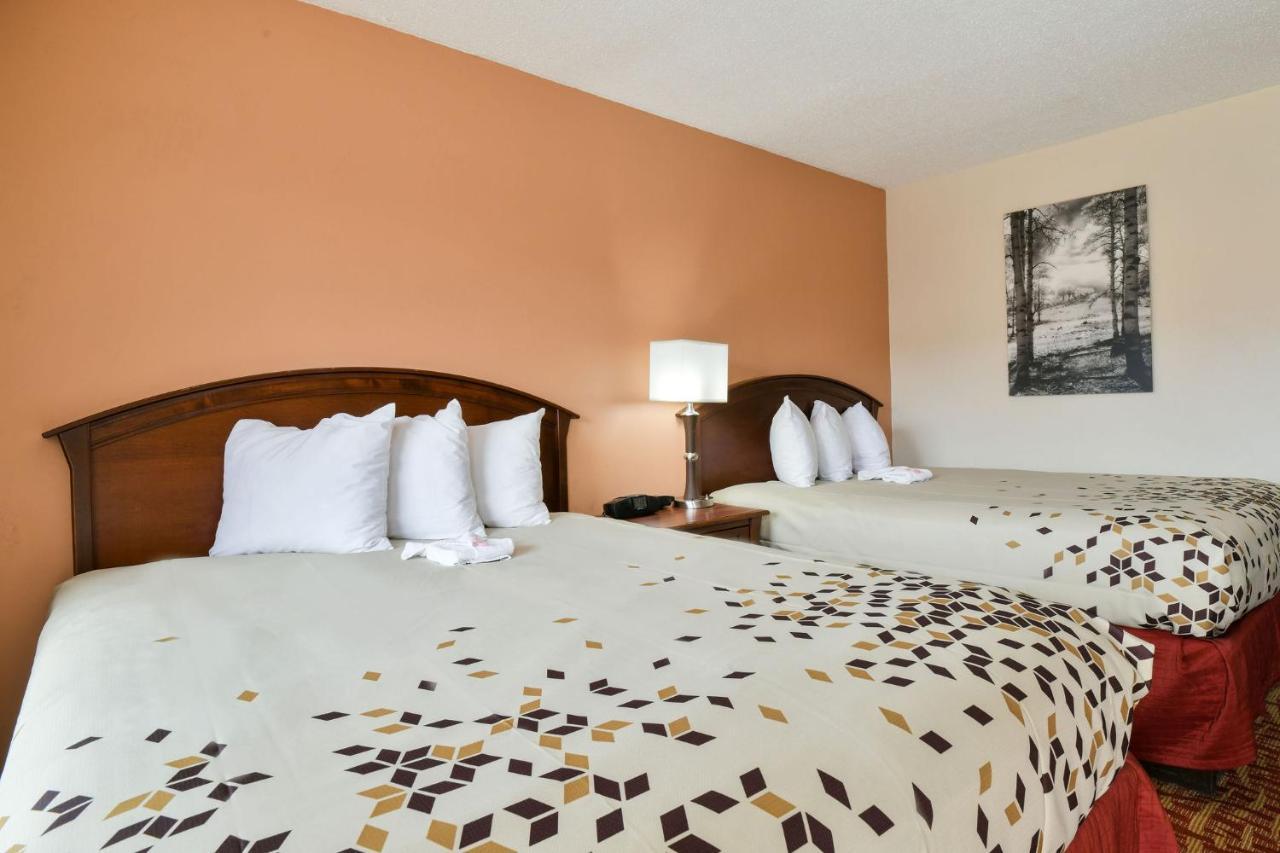Chambre Supérieure avec 2 Lits Queen-Size