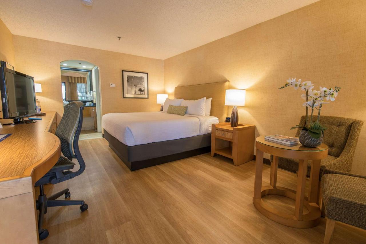 Kamer met Kingsize Bed en Rolstoeltoegankelijke Douche - Toegankelijk voor Gasten met een Lichamelijke Beperking / Rookvrij