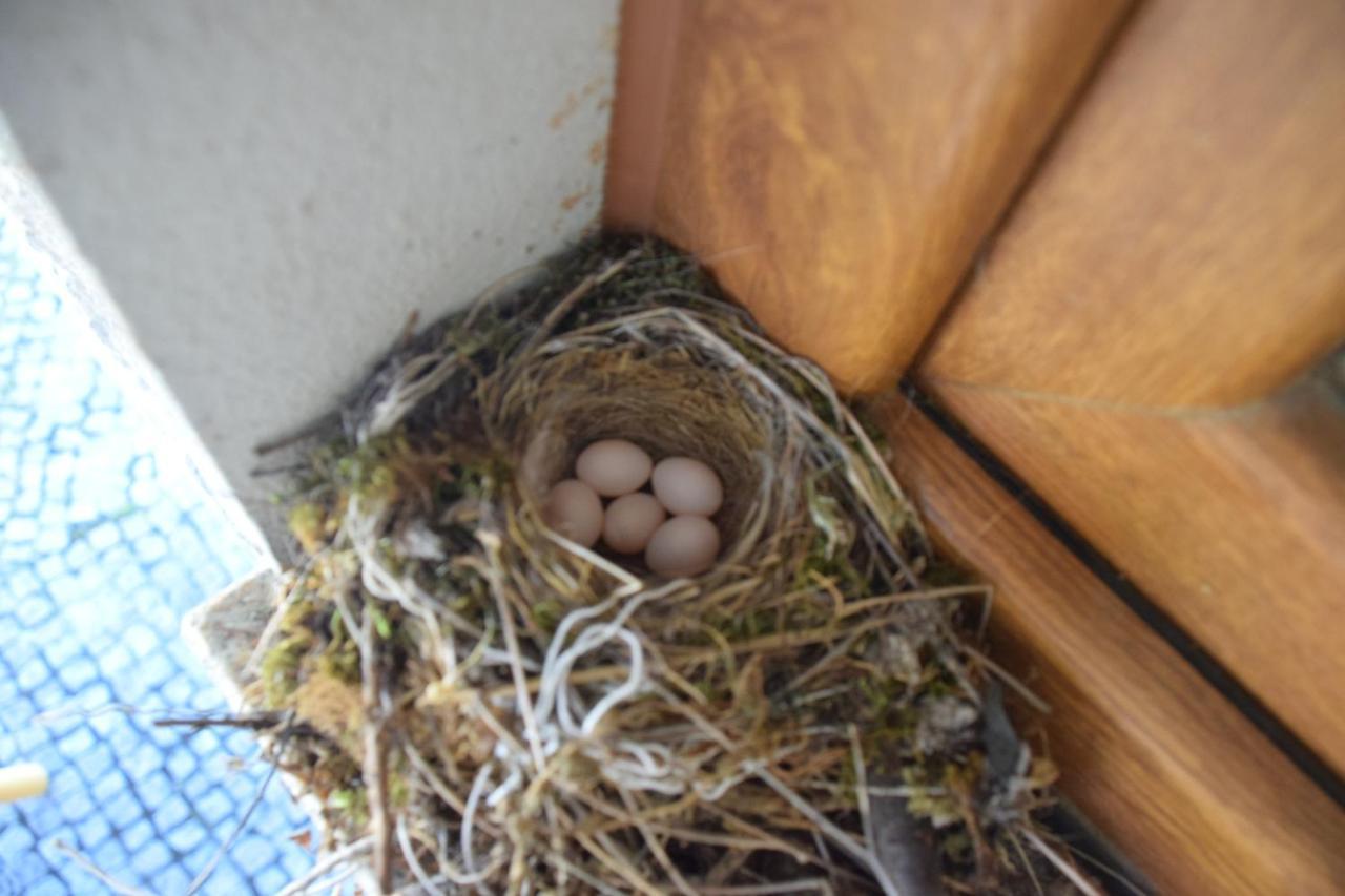 Duplex Room,1588127158:JPEG